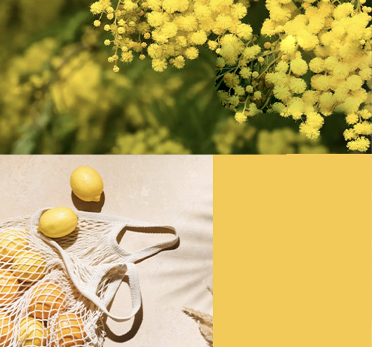 lemon