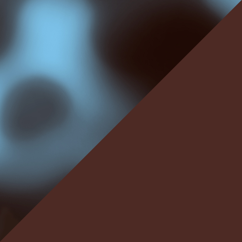 3231