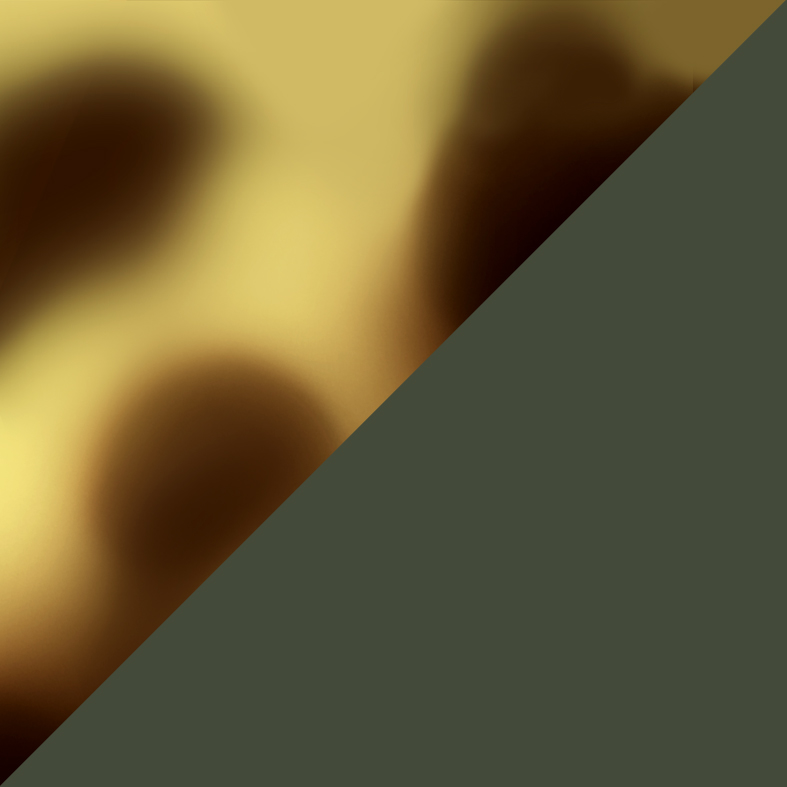 Couleur: 4535I