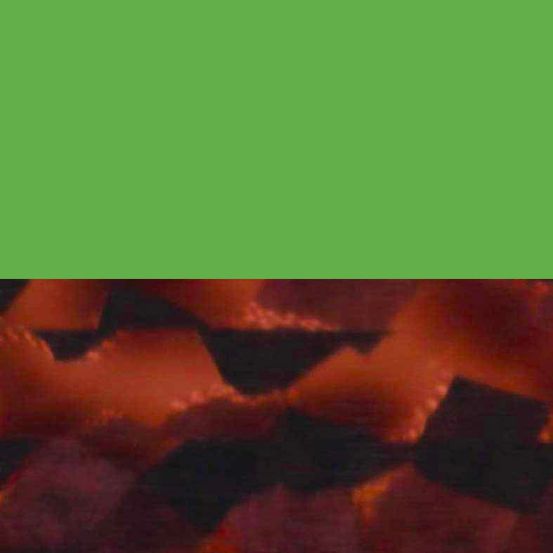 5198
